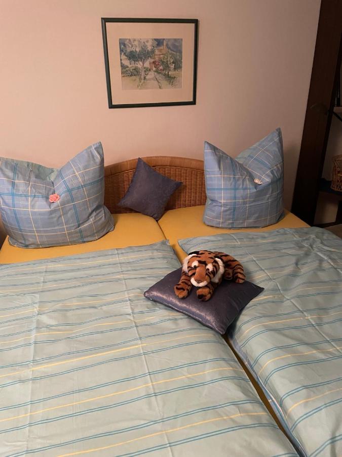 Schoene Ferienwohnung In Bahnhofsnaehe Fuer Urlaub, Studium Oder Arbeit Deggendorf Eksteriør billede